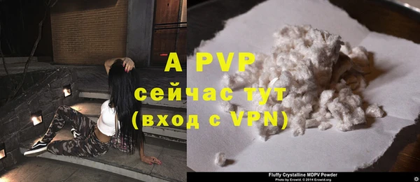 стаф Инсар