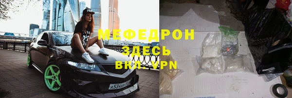 хмурый Тайга