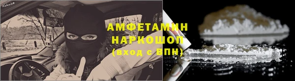 стаф Инсар