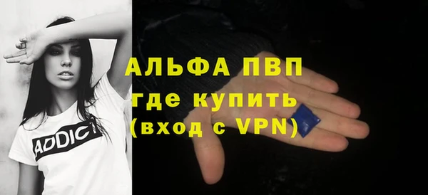 стаф Инсар