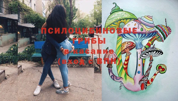 мдпв Иннополис