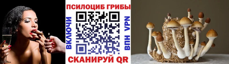 купить наркотики цена  Сосногорск  Галлюциногенные грибы Magic Shrooms 